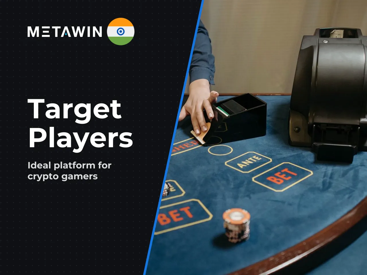 Which Players Is MetaWin Suitable For